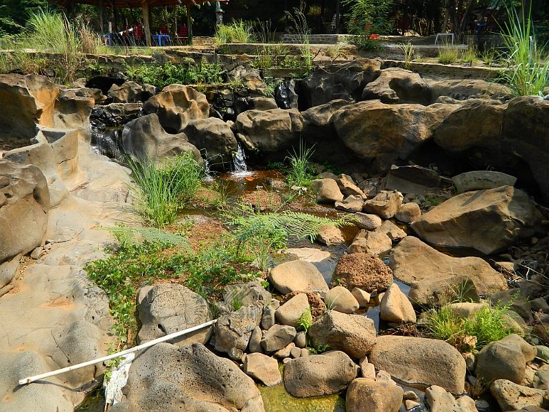 DSCN3579.jpg