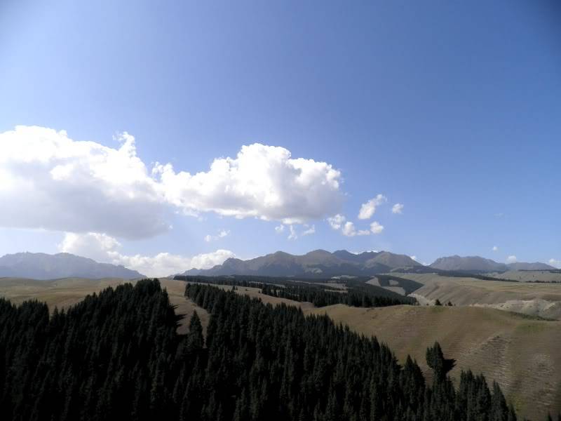P9021874.jpg