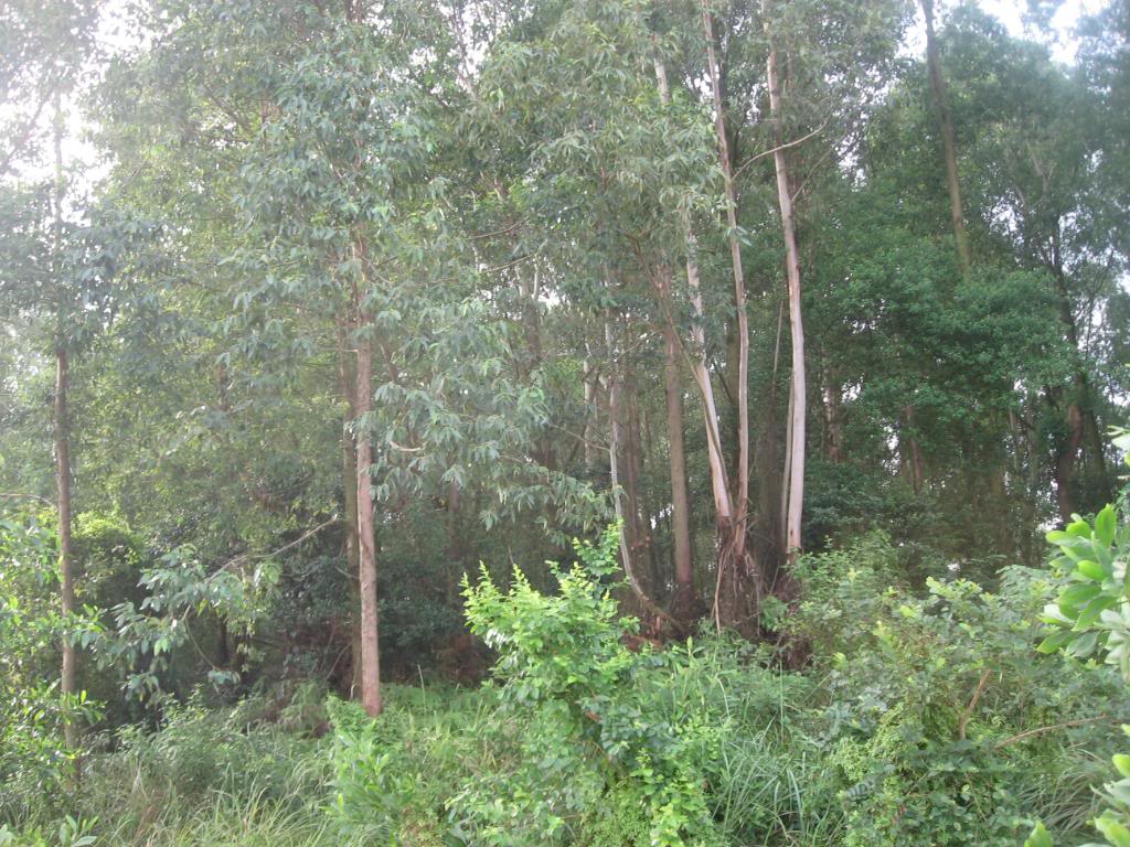 IMG_0254.jpg
