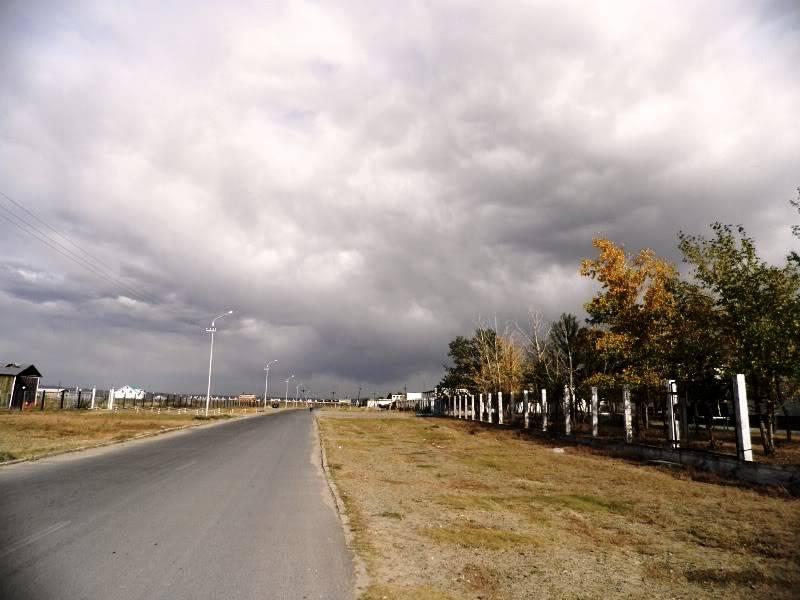 P9130023.jpg