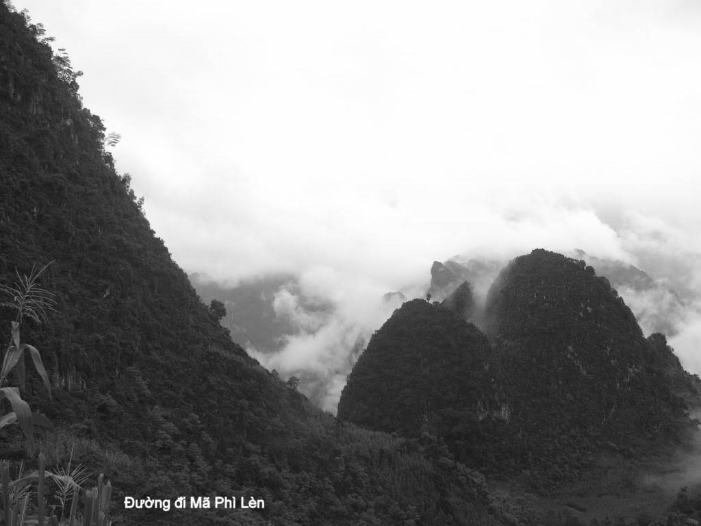 ngiMPhLn-0091024x768.jpg