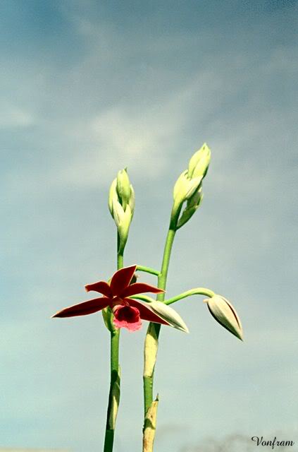 00044-12.jpg