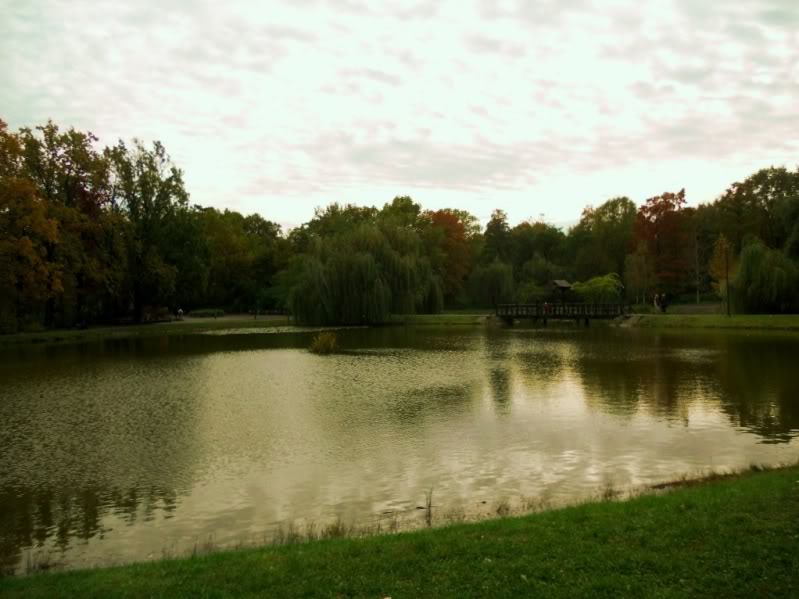 DSCN1096.jpg