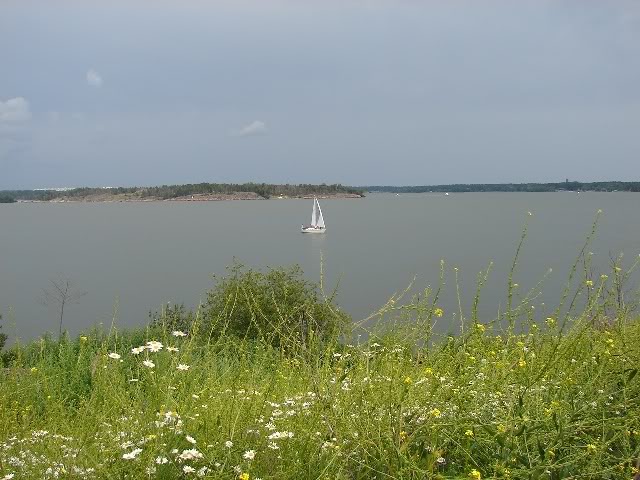 DSC02178.jpg