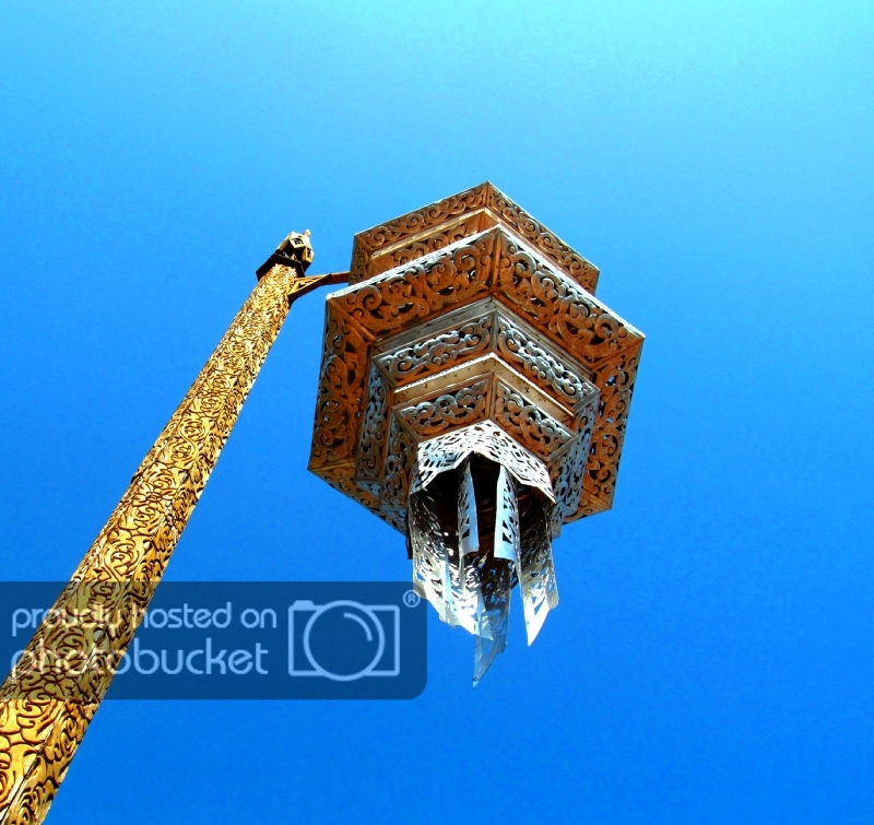 IMG_6100-1_zps4f1237eb.jpg