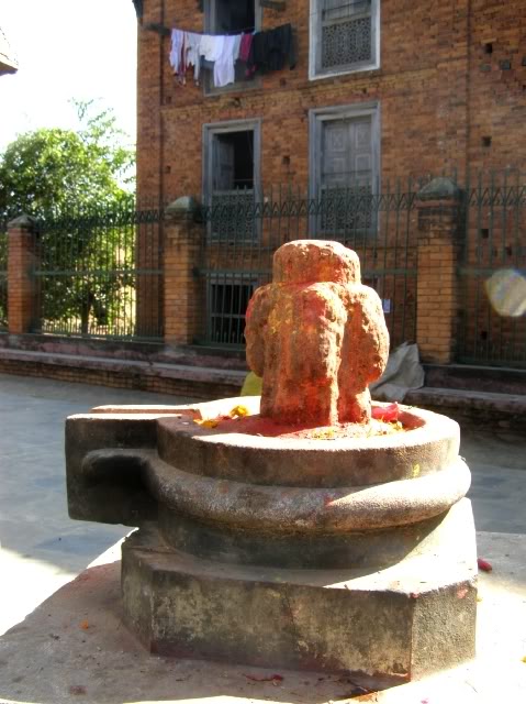 PB060816.jpg