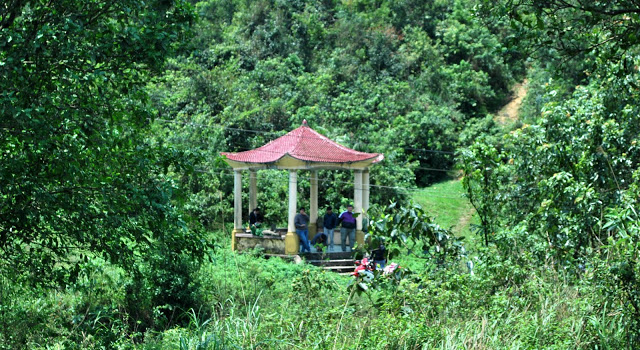 DSC_2186.JPG