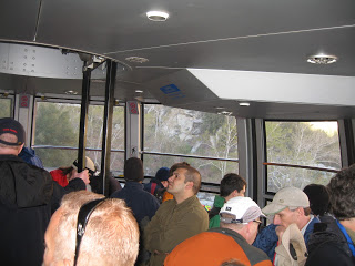 IMG_7303.JPG