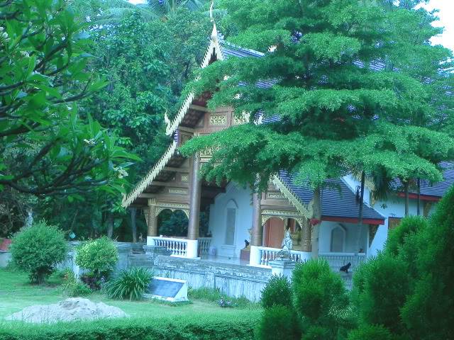 DSCN0992.jpg