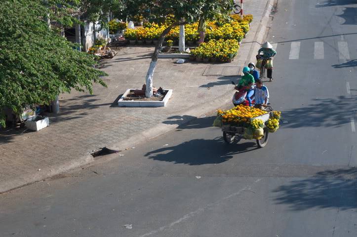 DSC_0327.jpg