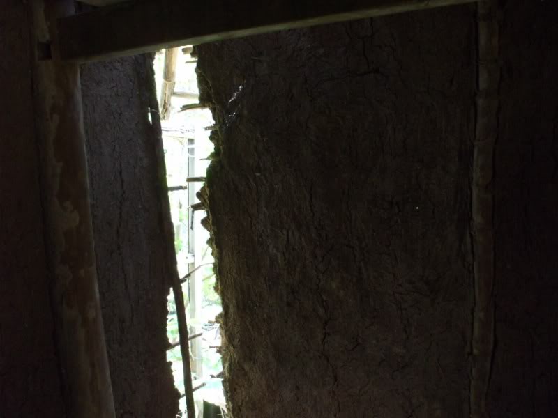 DSCF6715.jpg
