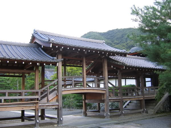 IMG_1329_resize.jpg