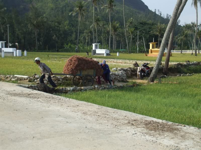 DSCF6795.jpg