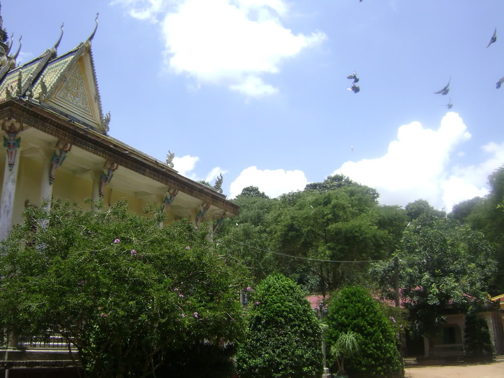 a8fce111.jpg