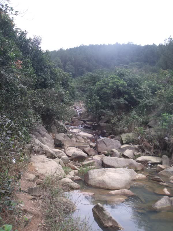 DSCF4559.jpg