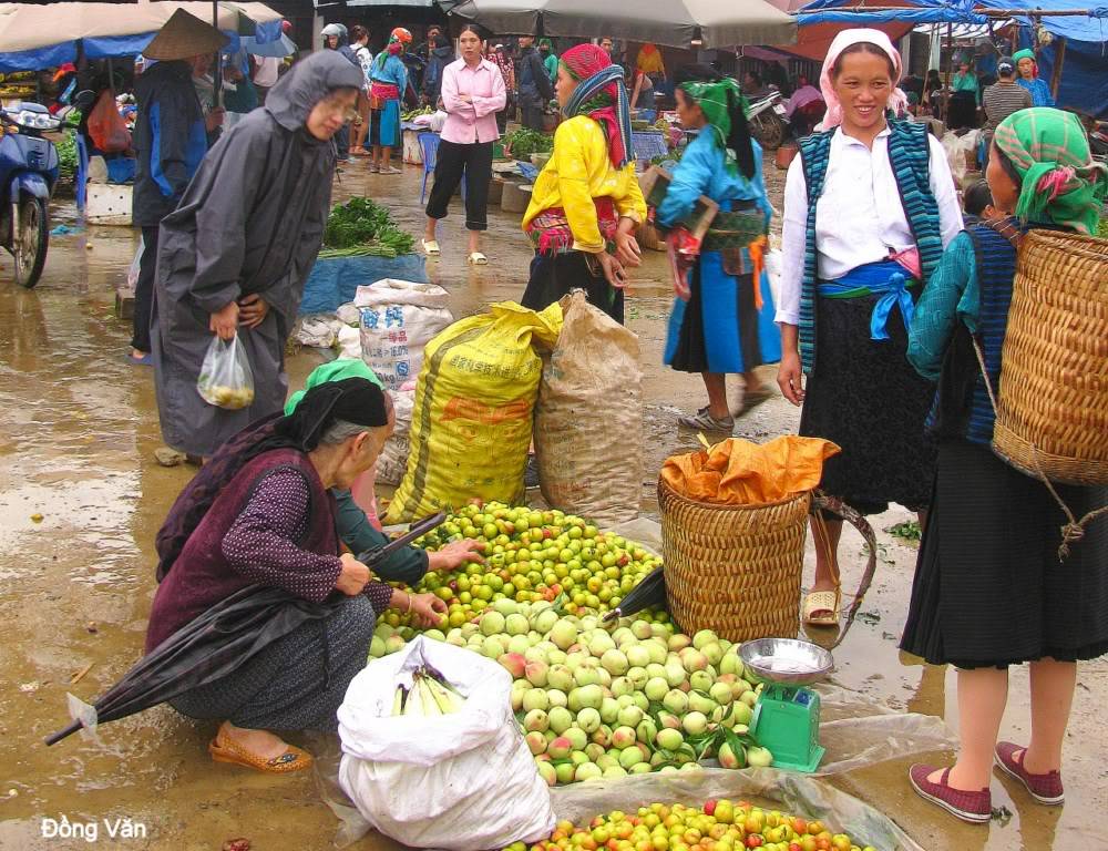 ngVn-0071024x768.jpg