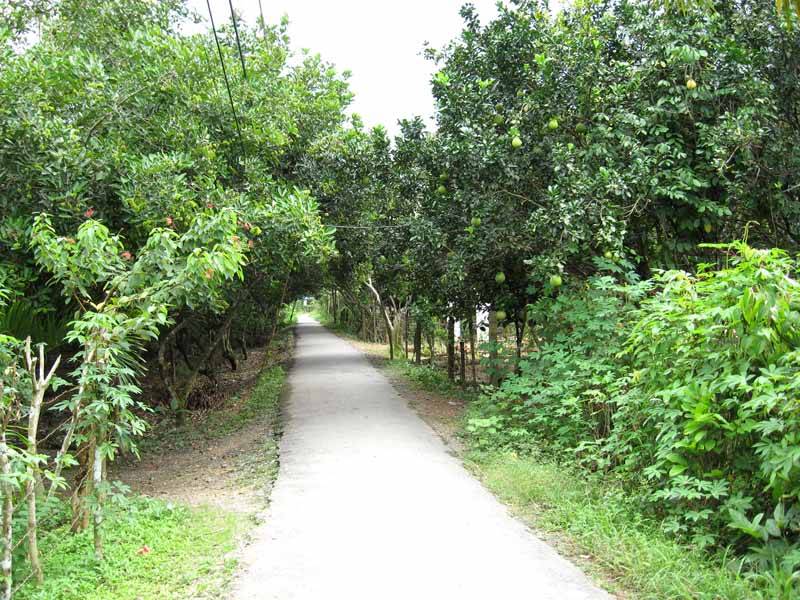 29_zps55804666.jpg