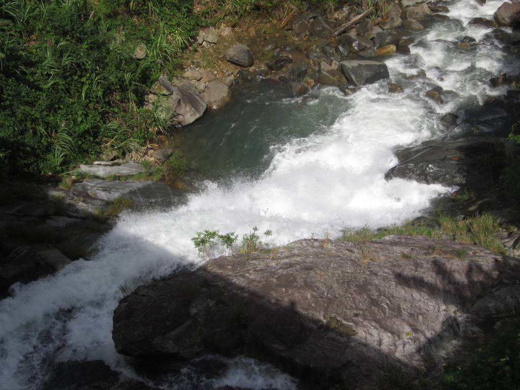 IMG_5208.jpg