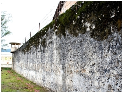 Condao31.jpg