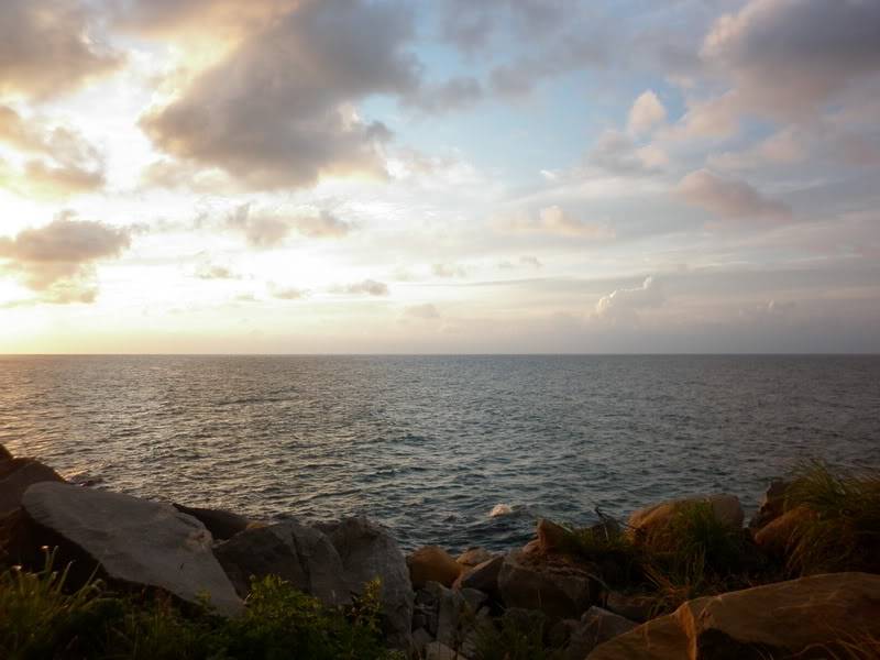 P1000862.jpg