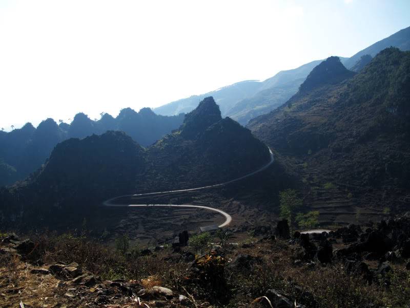 135.jpg