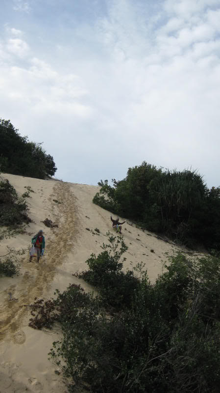 IMG_4491.jpg