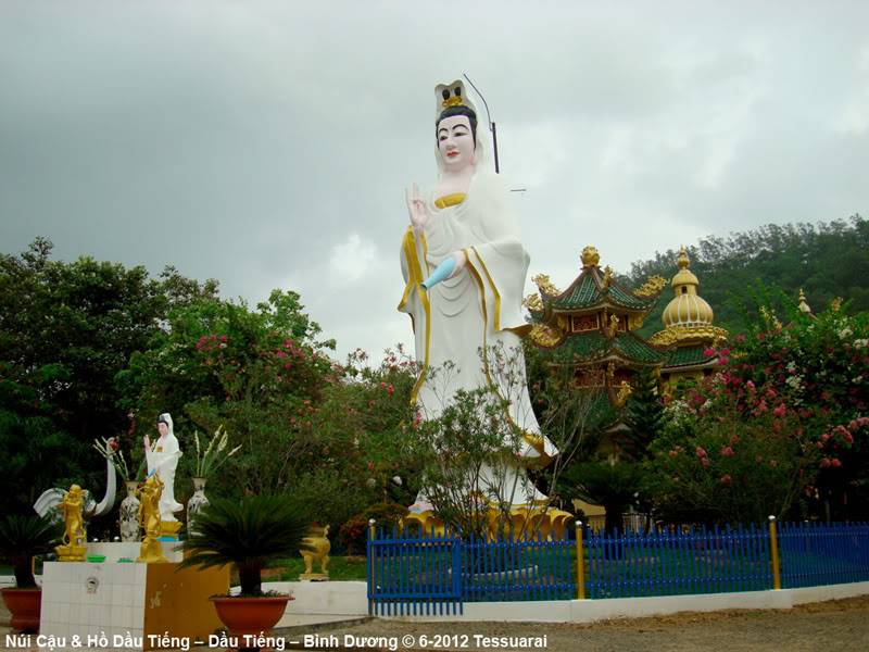 DSC05826.jpg