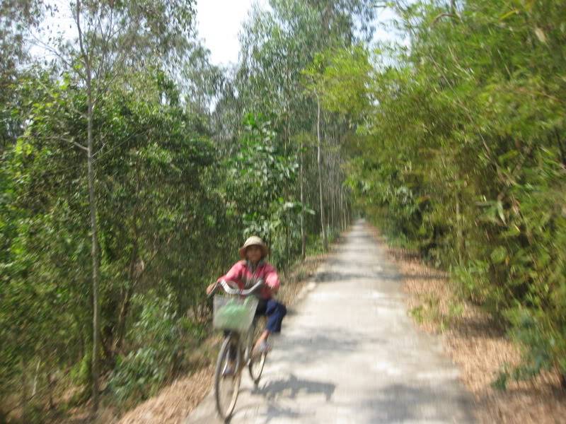 DongThapTET2011362.jpg