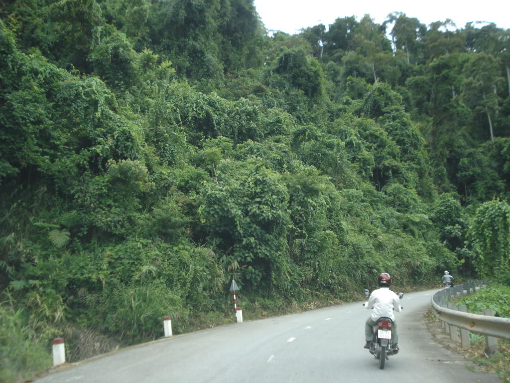 DSC02889.jpg