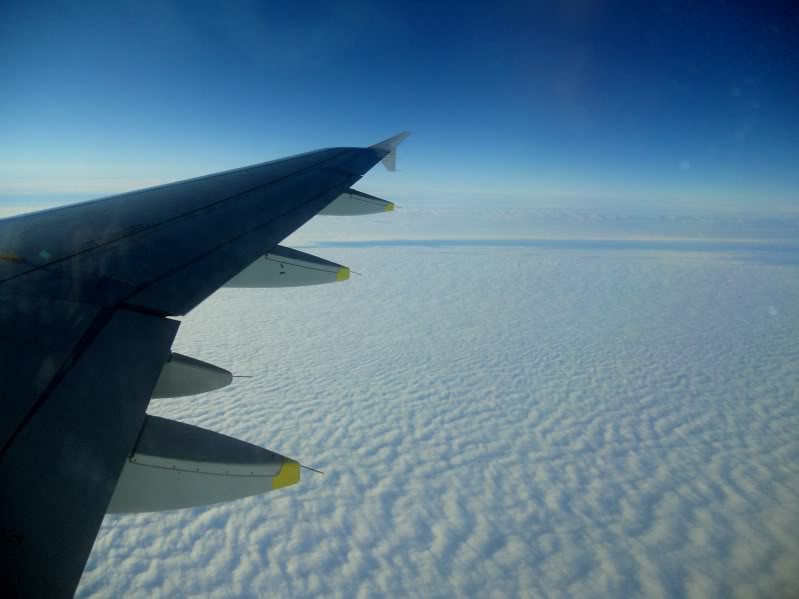 DSCN5782.jpg