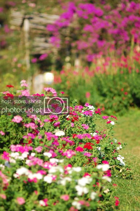 DSC_5395_resize.jpg