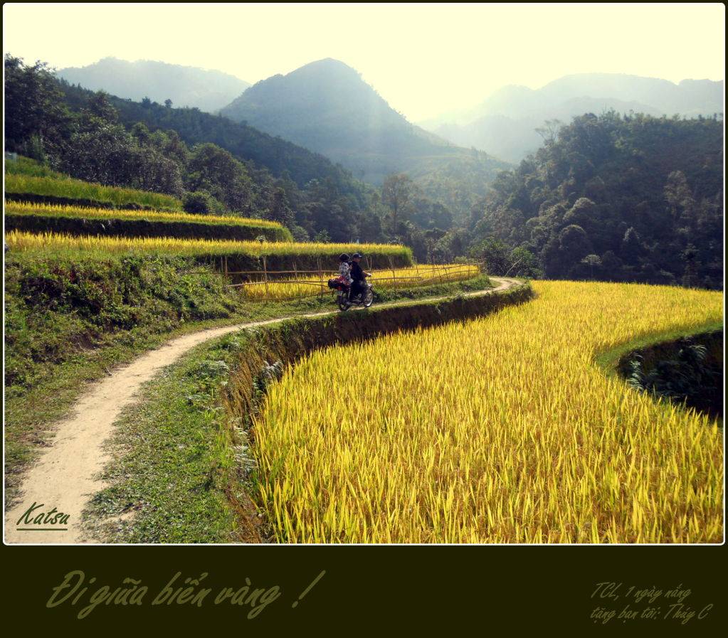 DSCN4136.jpg