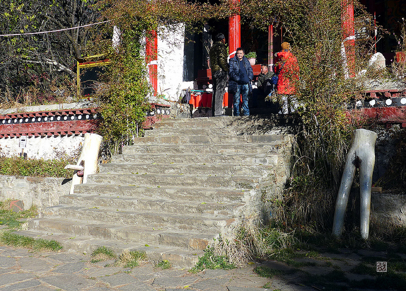 11310368576_7aeae9ce45_c.jpg