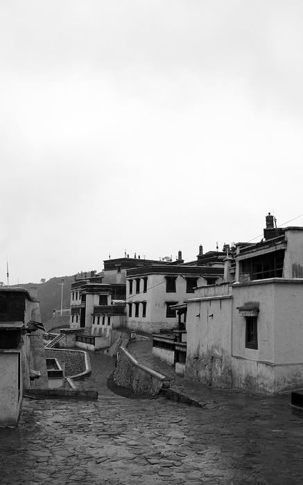 IMG_0767.jpg