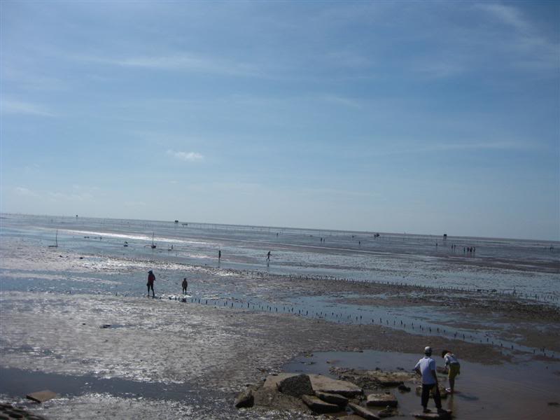 IMG_6289Medium.jpg
