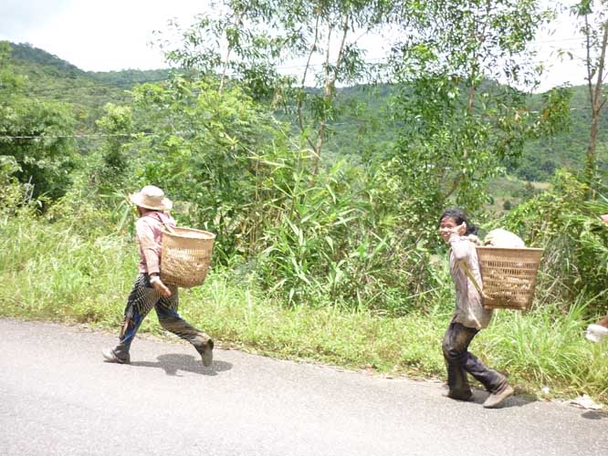 P1360490.jpg