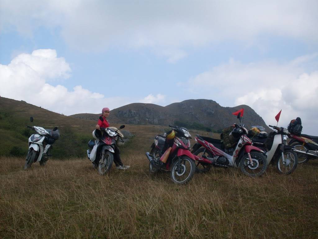 SDC10610.jpg