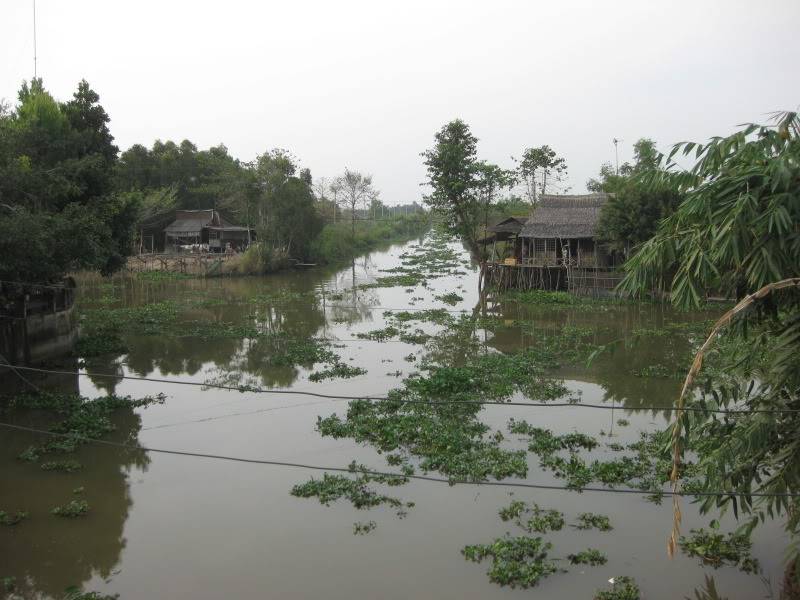 DongThapTET2011490.jpg