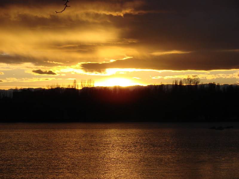 DSC01248.jpg