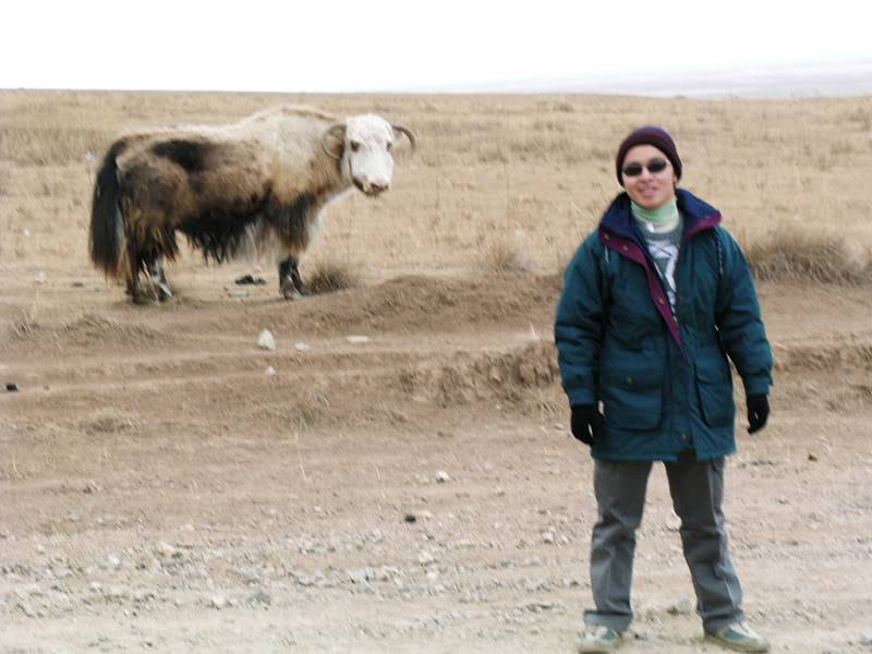 tibet2f.jpg
