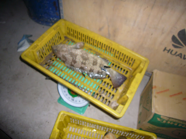 P1020141.JPG