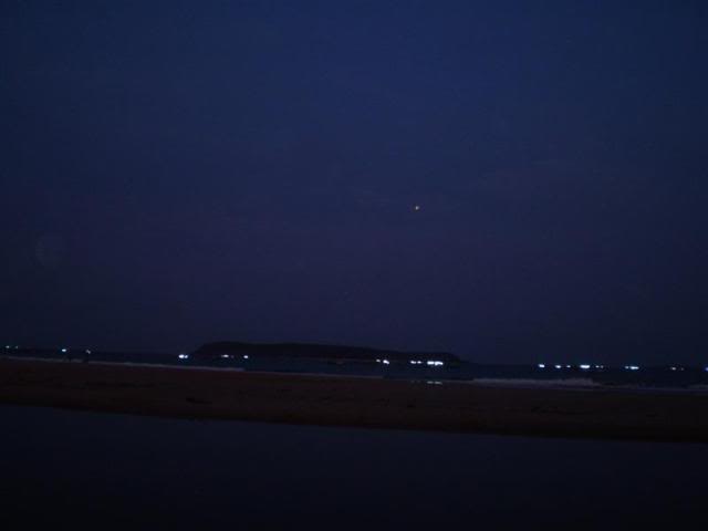 P1010247Medium.jpg