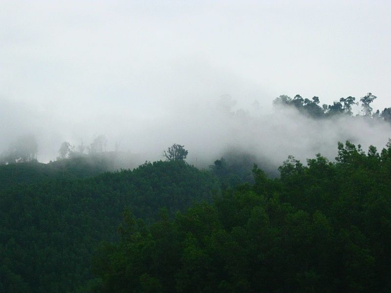 IMG_6740.jpg