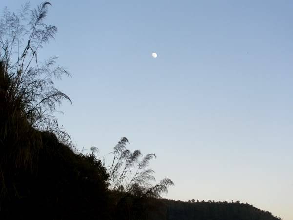 PB101381.jpg