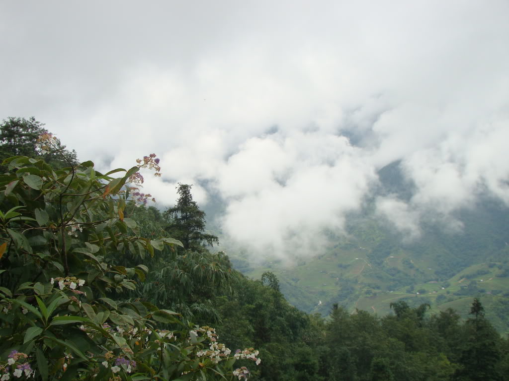 DSC09493.jpg
