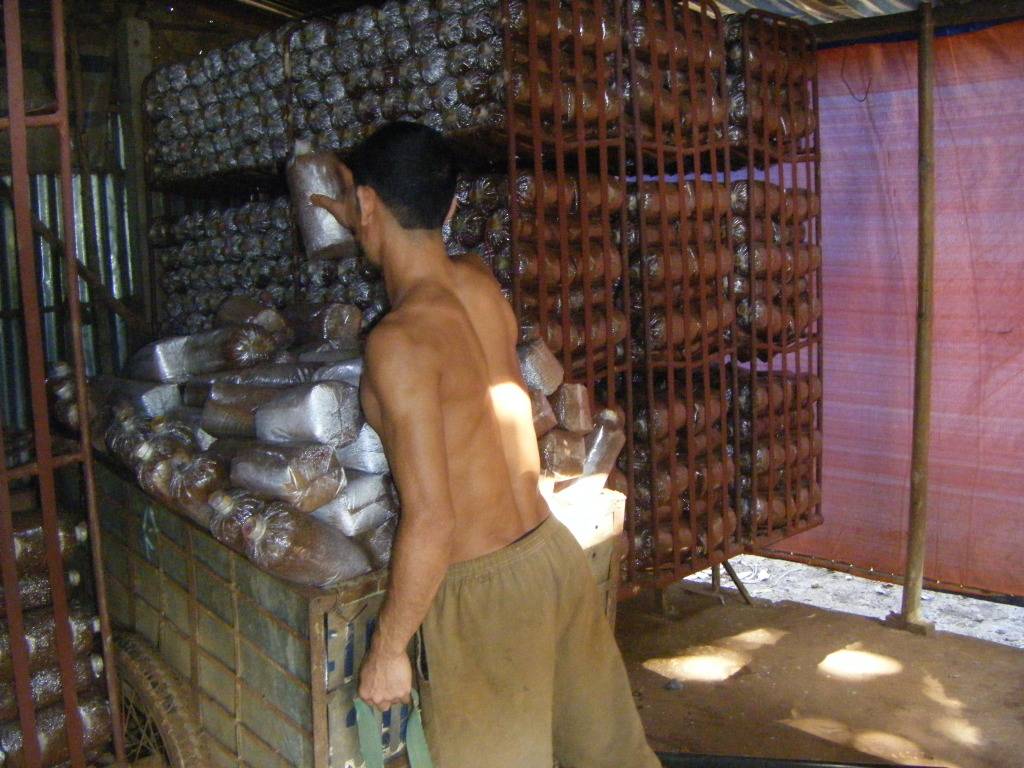 DSCF9472.jpg