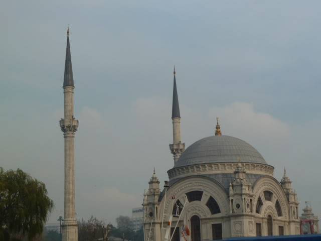 L1020666.jpg
