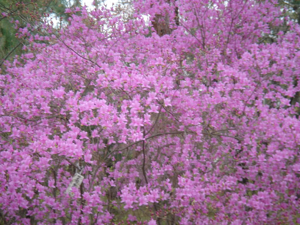Mybrithdaytrip027.jpg