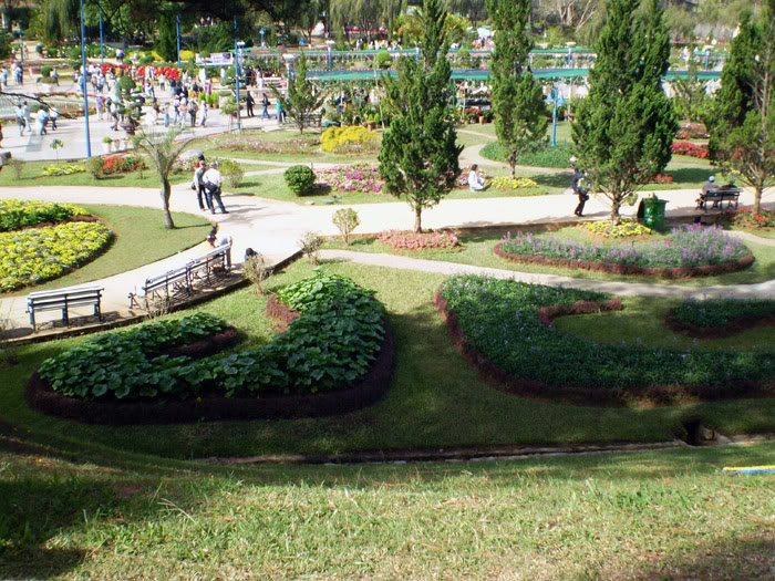 PC150049.jpg