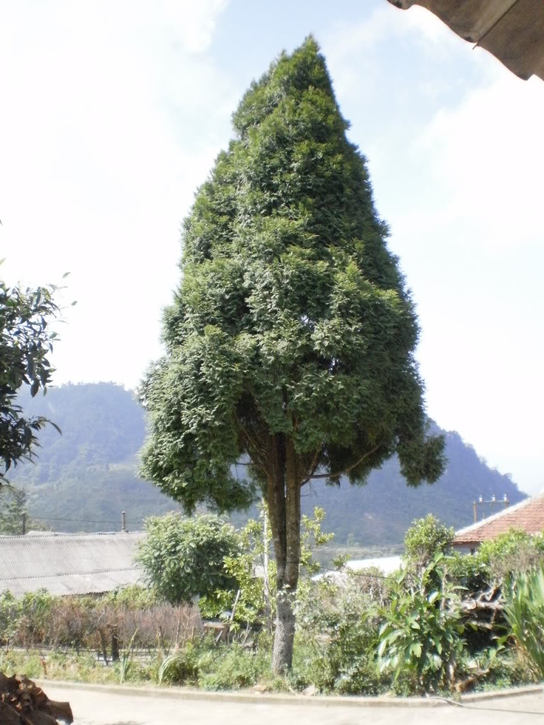 P7150018.jpg